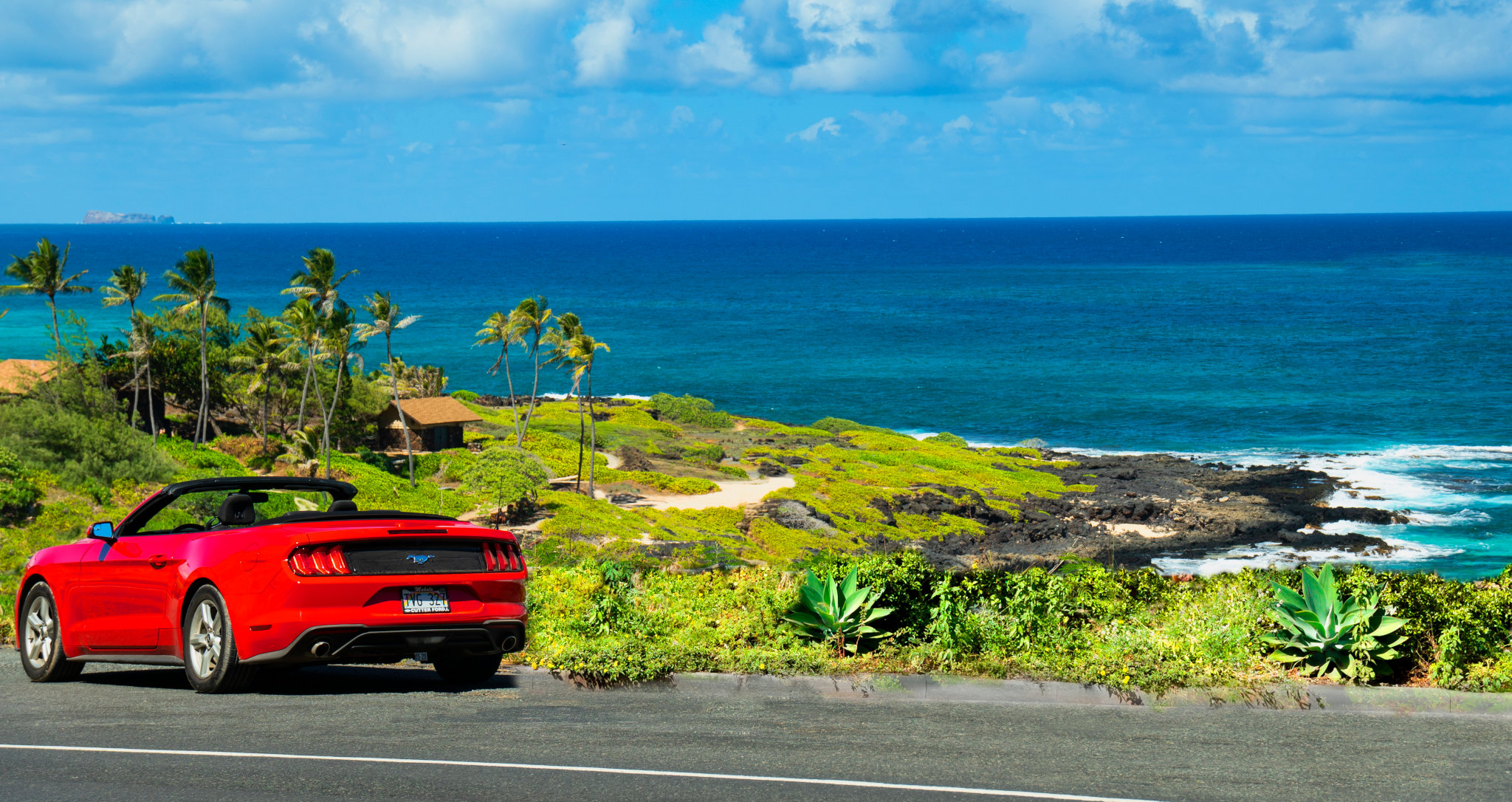 hawaii tourist car