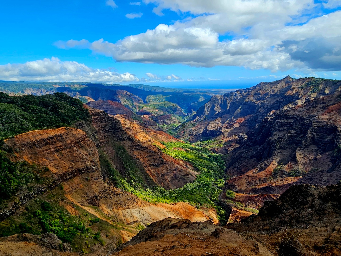 The Waimea canyon
